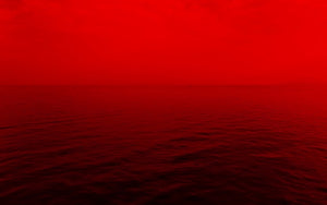 sea of red